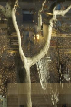 Imagen 4585
